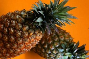 娱乐菠萝吃瓜,揭秘娱乐圈那些吃瓜群众的幕后故事