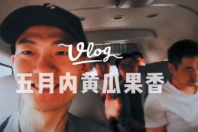 娱乐主播带你吃瓜,娱乐主播带你领略吃瓜界的风云变幻