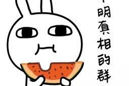 吃瓜娱乐常用bgm,跟随热门bgm，解锁吃瓜娱乐新境界